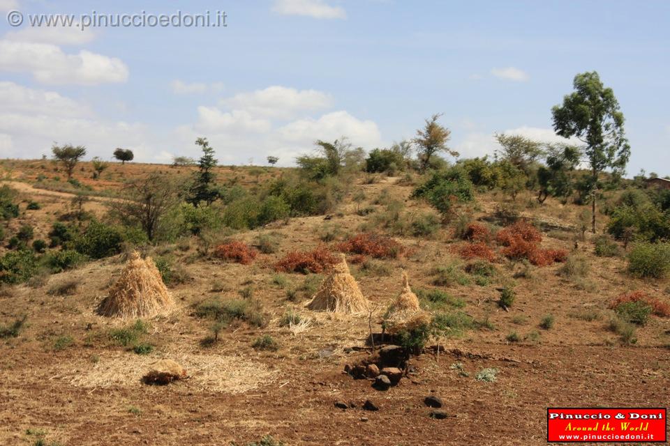 Ethiopia - 877.jpg